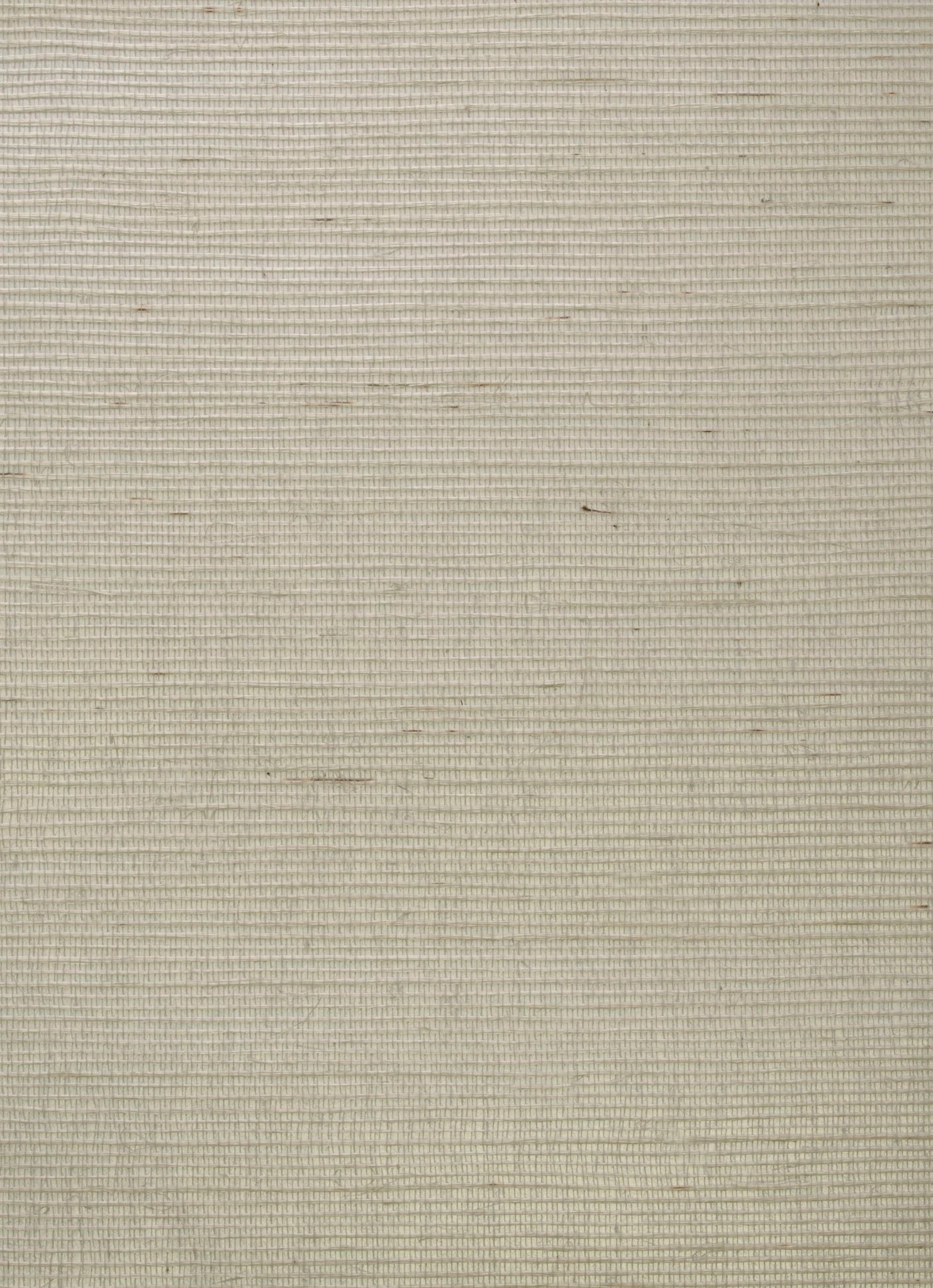 Kongo Wallpaper - Chalk - Andrew Martin - ECKOCH - Premier Wallcovering