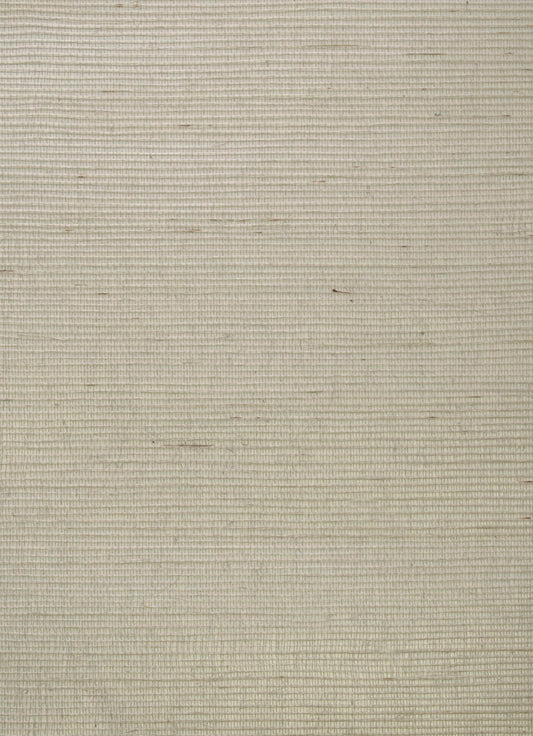 Kongo Wallpaper - Chalk - Andrew Martin - ECKOCH - Premier Wallcovering