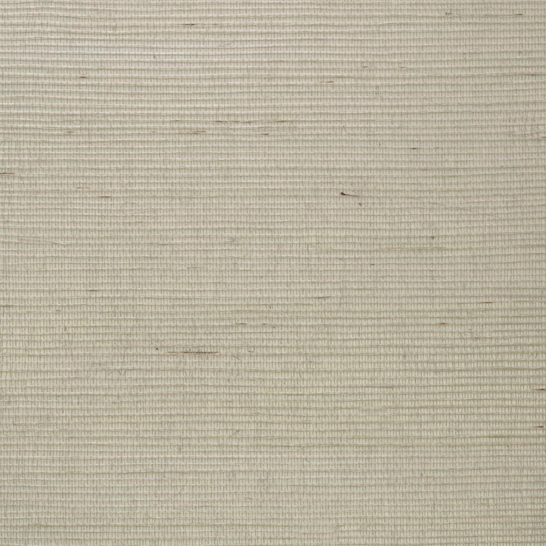 Kongo Wallpaper - Chalk - Andrew Martin - ECKOCH - Premier Wallcovering