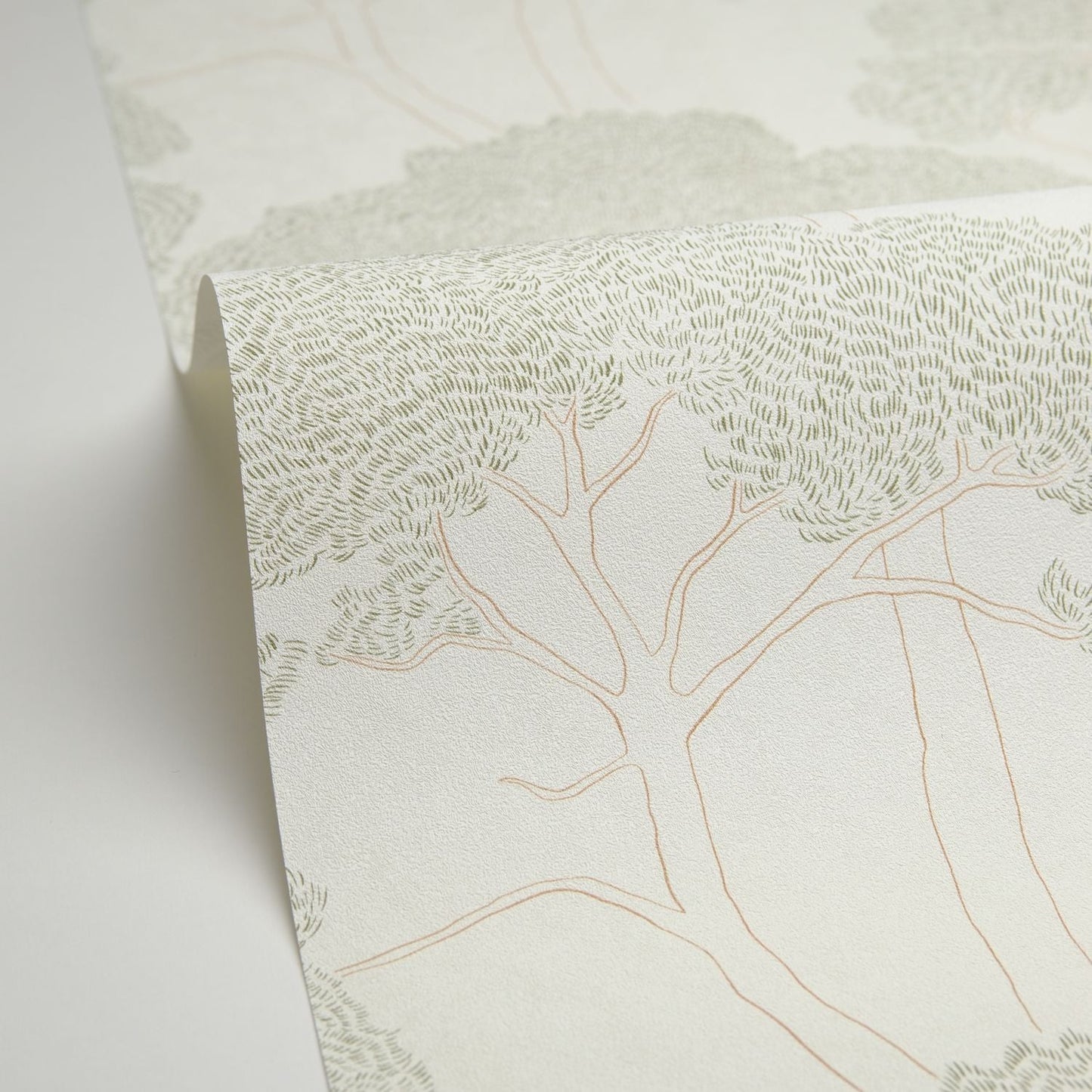 La Ciotat Wallpaper - Blanc Vert - Caselio - 105430725 - Premier Wallcovering