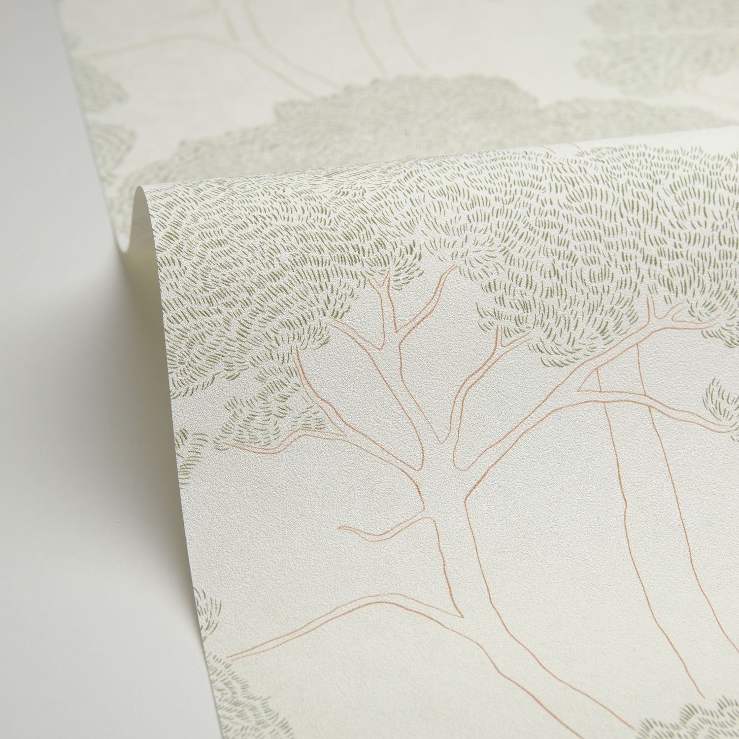 La Ciotat Wallpaper - Blanc Vert - Caselio - 105430725 - Premier Wallcovering