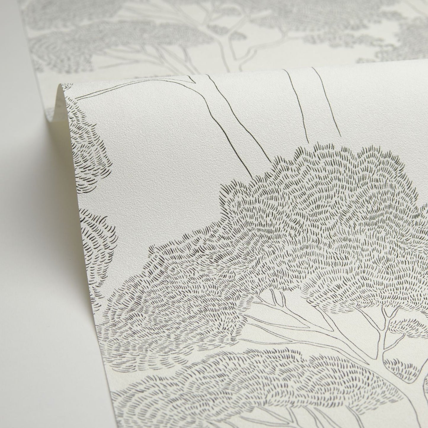 La Ciotat Wallpaper - Blanc Noir - Caselio - 105430903 - Premier Wallcovering