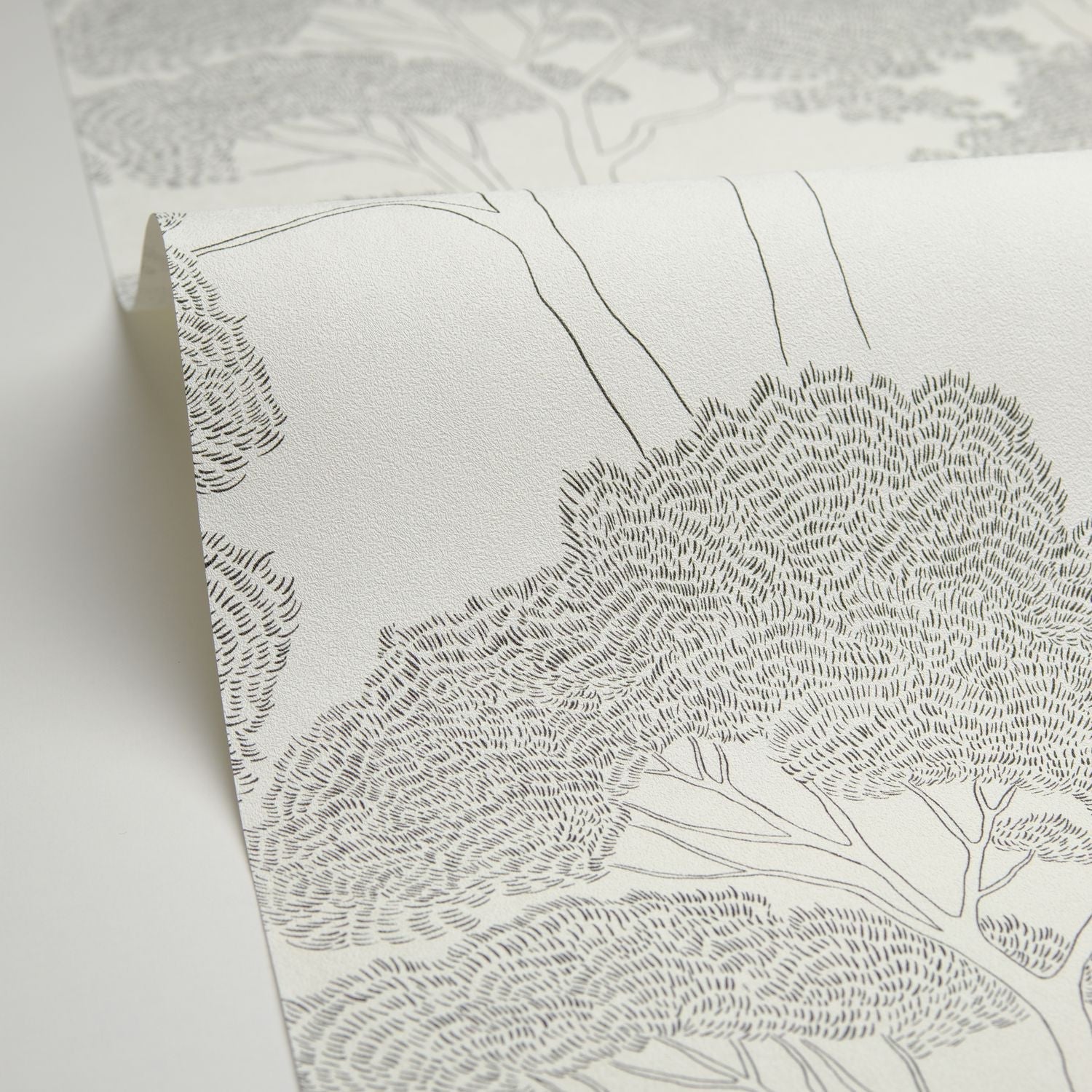 La Ciotat Wallpaper - Blanc Noir - Caselio - 105430903 - Premier Wallcovering