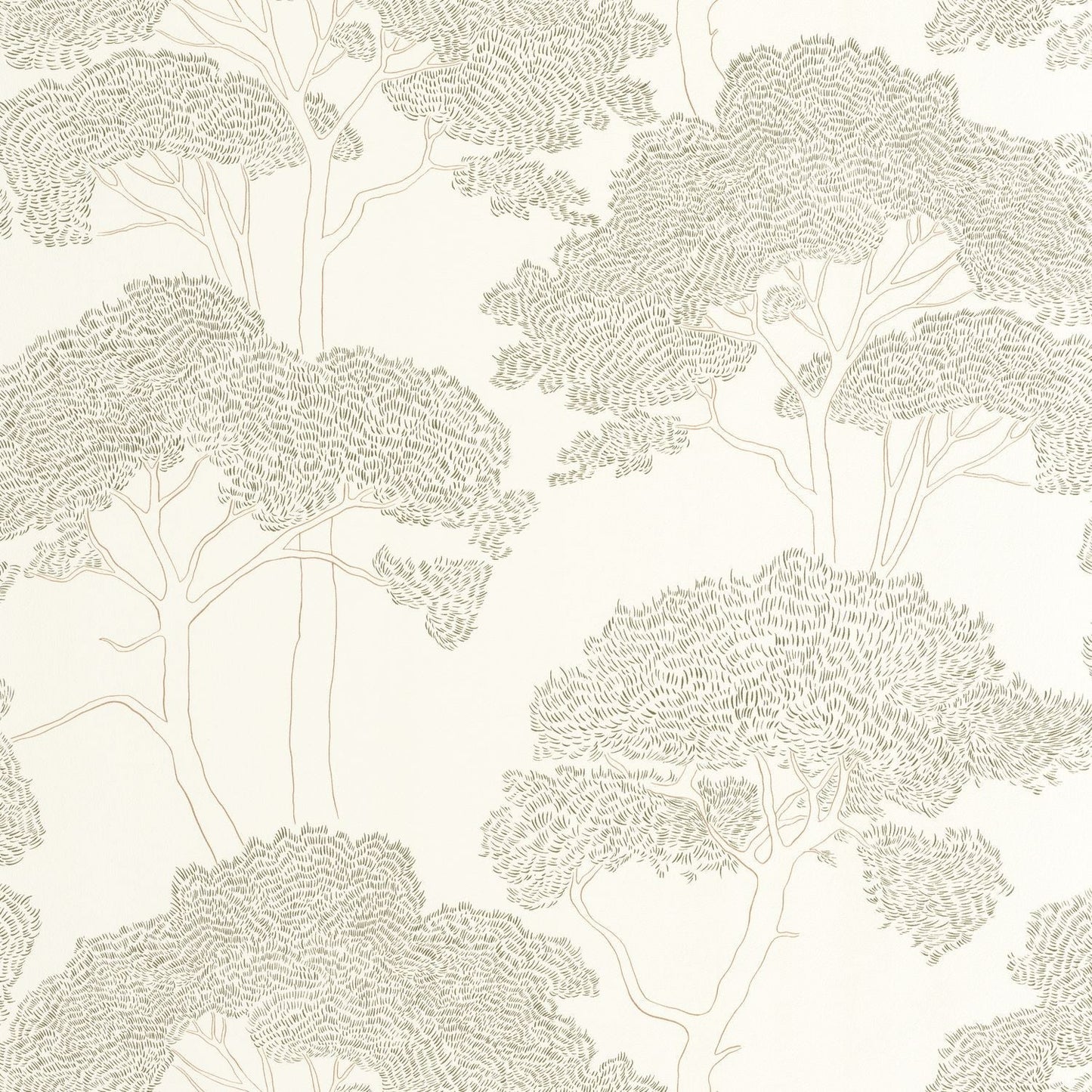 La Ciotat Wallpaper - Blanc Vert - Caselio - 105430725 - Premier Wallcovering