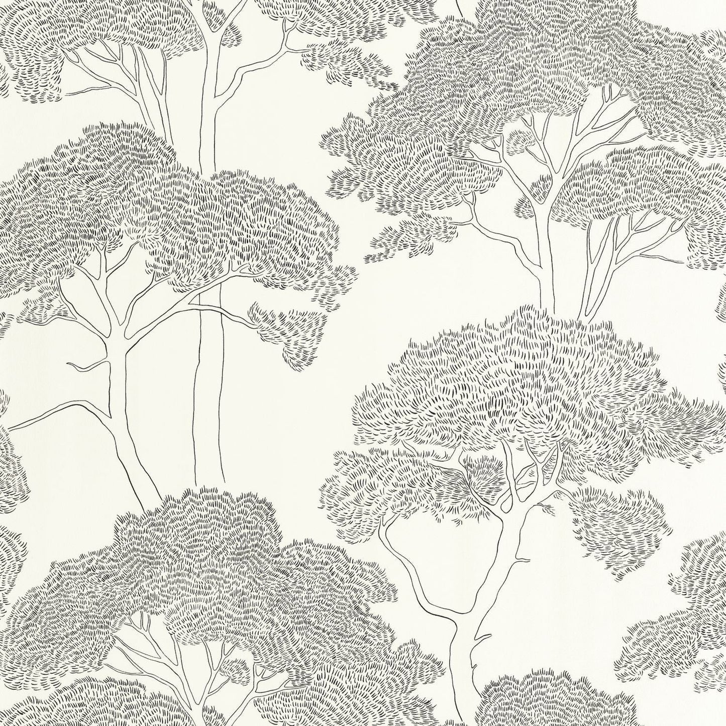 La Ciotat Wallpaper - Blanc Noir - Caselio - 105430903 - Premier Wallcovering