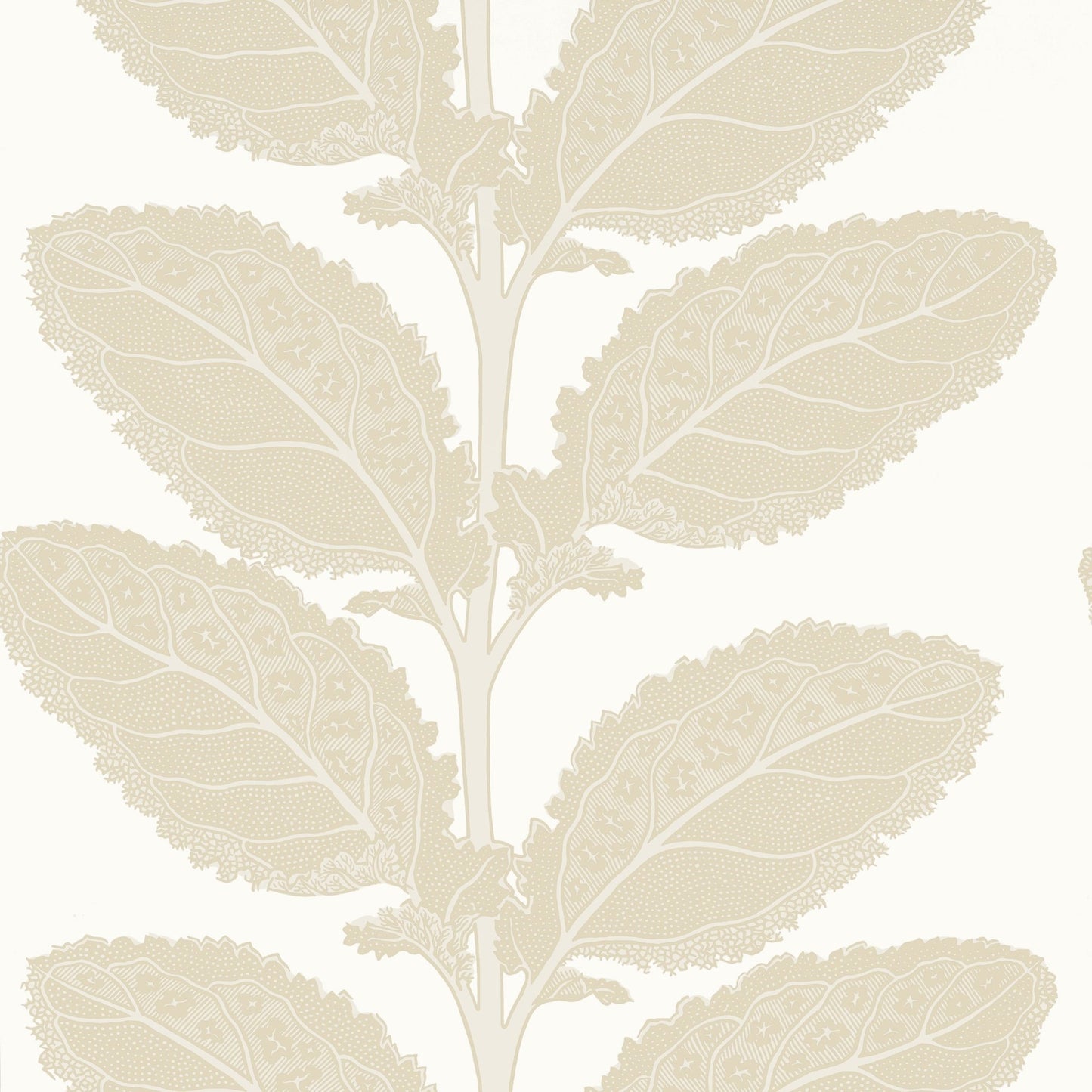 Lacinato Wallpaper - Birch - Thibaut - T12041 - Premier Wallcovering