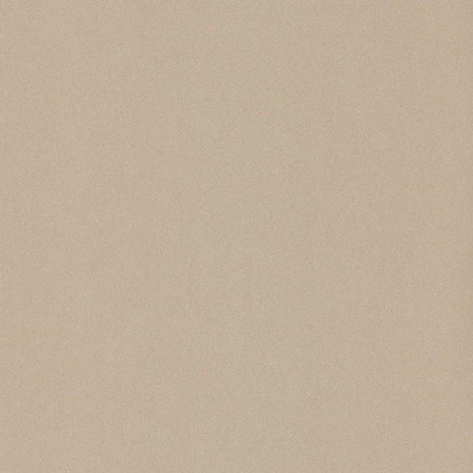 Lady Uni 1930 Wallpaper - Beige - Casadeco - 60401000 - Premier Wallcovering