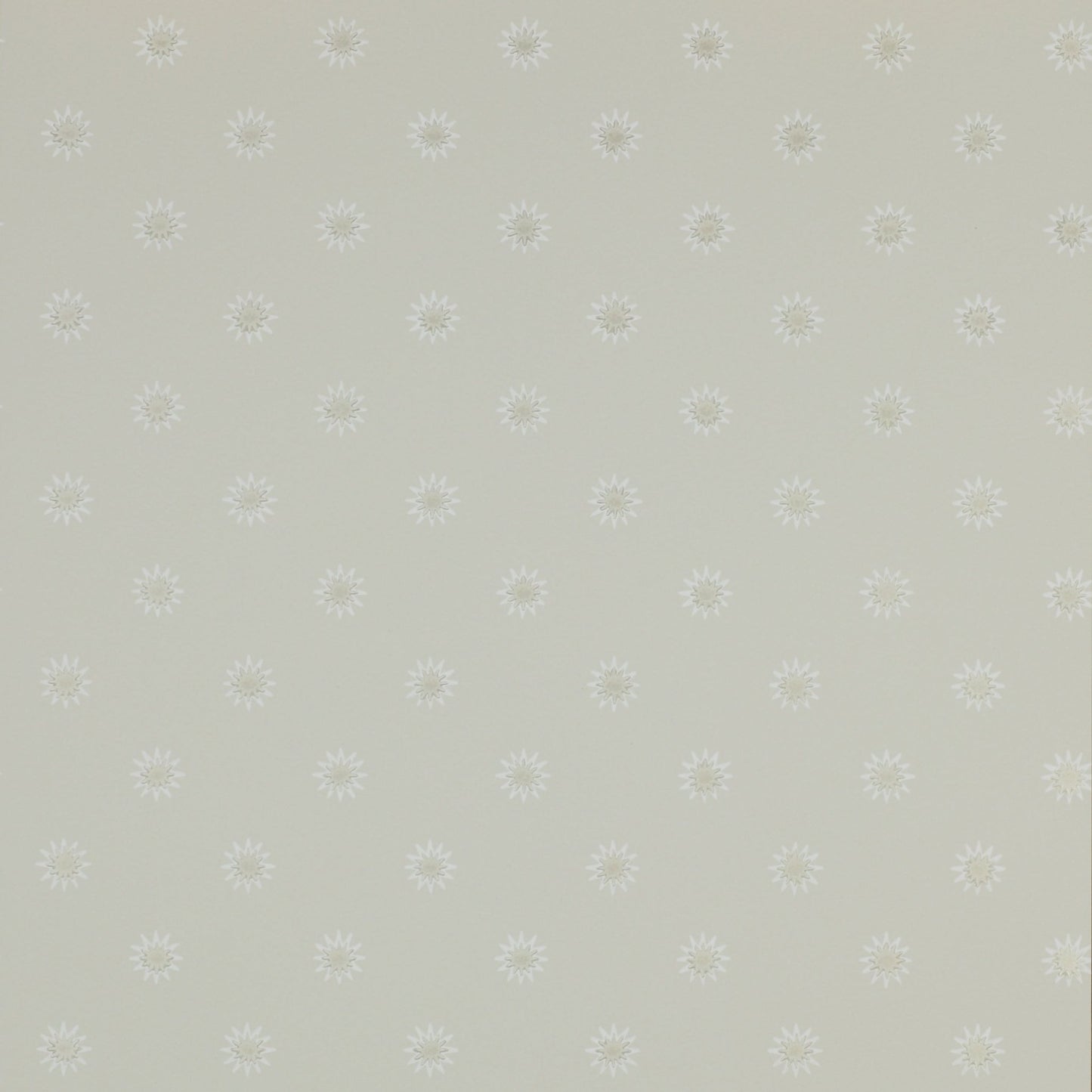 Larissa Wallpaper - Silver - Colefax & Fowler - 07131/05 - Premier Wallcovering