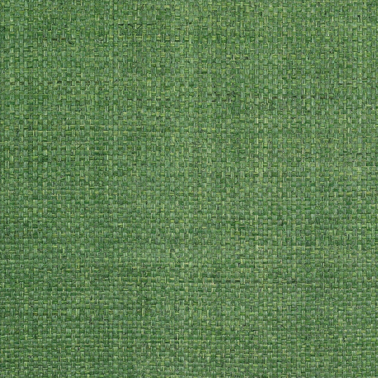 Lauderdale Wallpaper - Green - Thibaut - T19607 - Premier Wallcovering