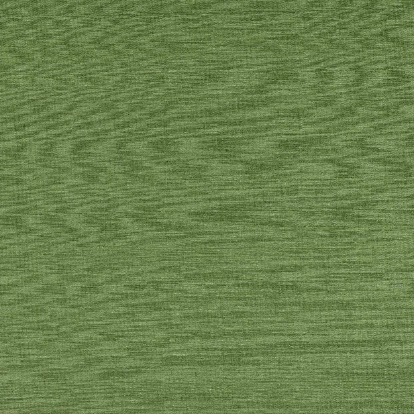 Lazare Fabric - Kiwi - Manuel Canovas - M4131-21 - Premier Wallcovering