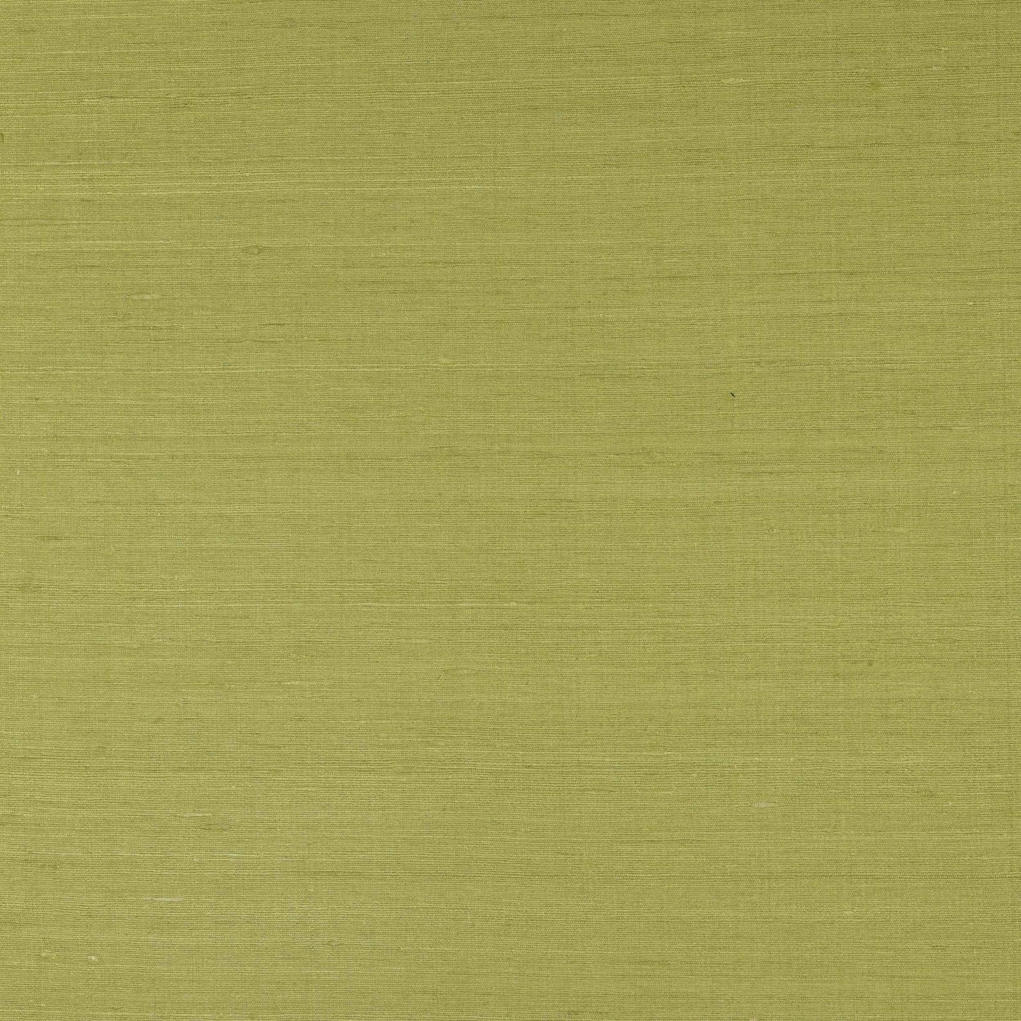 Lazare Fabric - Anis - Manuel Canovas - M4131-18 - Premier Wallcovering