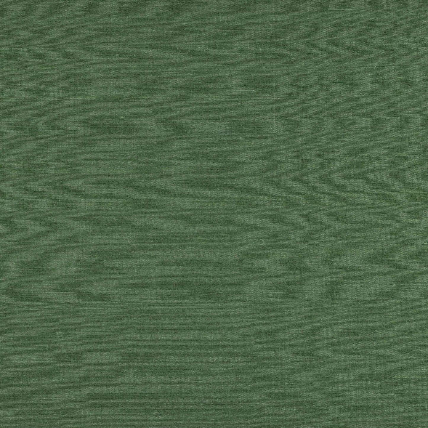 Lazare Fabric - Menthe - Manuel Canovas - M4131-22 - Premier Wallcovering