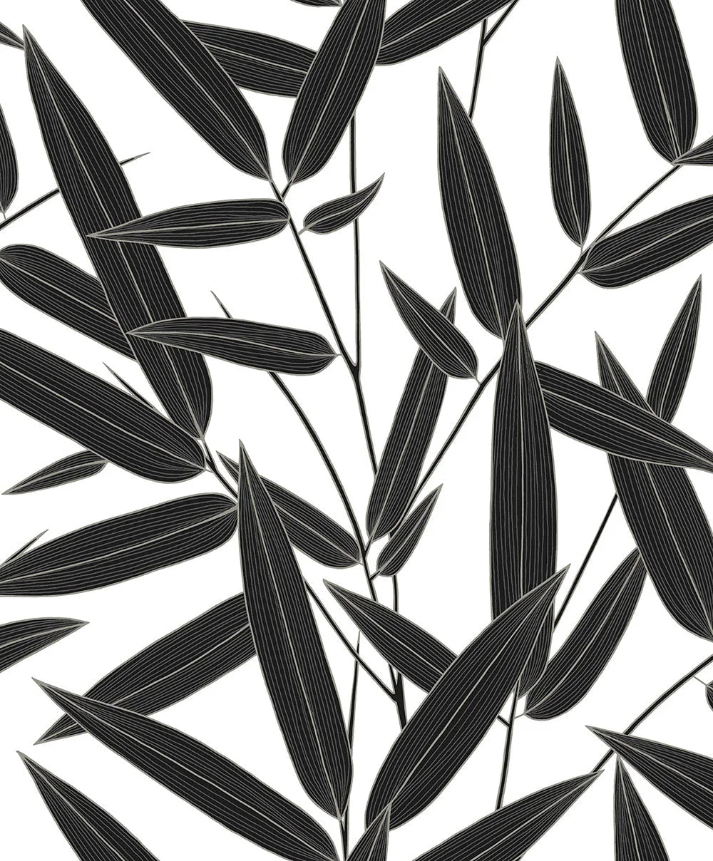 Leaf Branch Trail Wallpaper - Ebony - NextWall - NW58800 - Premier Wallcovering