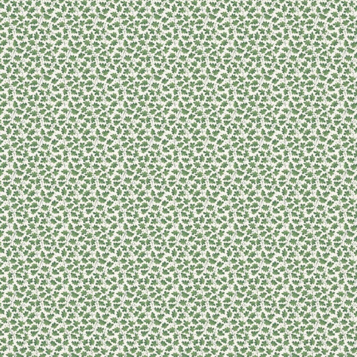 Leaf Trail Wallpaper - Fern - Warner House - Premier Wallcovering