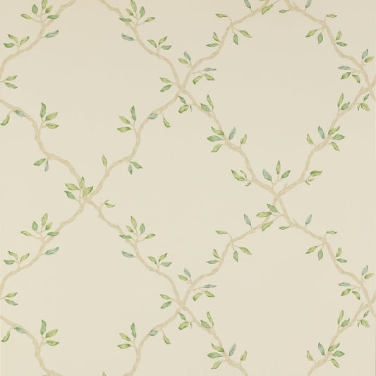Leaf Trellis Wallpaper - Pale Green - Colefax & Fowler - 07706/02 - Premier Wallcovering
