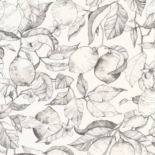 Lemon Tree Soliflore Wallpaper - Fusain - Casadeco - 200270900 - Premier Wallcovering
