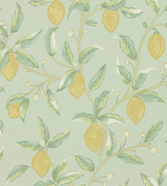 Lemon Tree Wallpaper - Sage - 216673 - Morris & Co - Premier Wallcovering