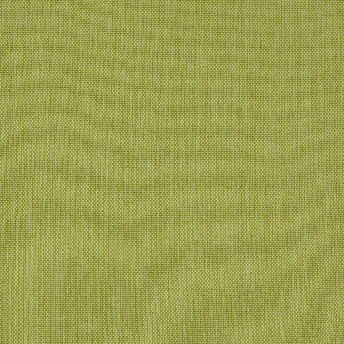 Leni Fabric - Cactus - Manuel Canovas - 04914/07 - Premier Wallcovering