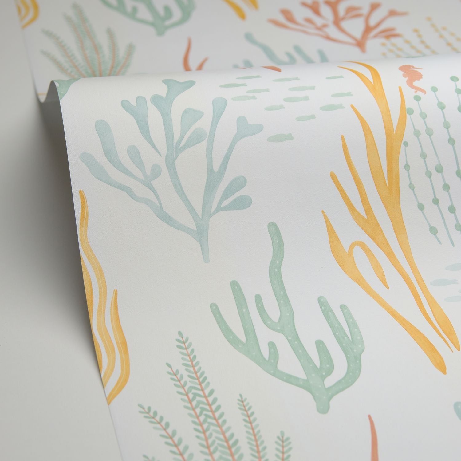 Les Fonds Marins Wallpaper - Multicouleurs - Caselio - 105814325 - Premier Wallcovering