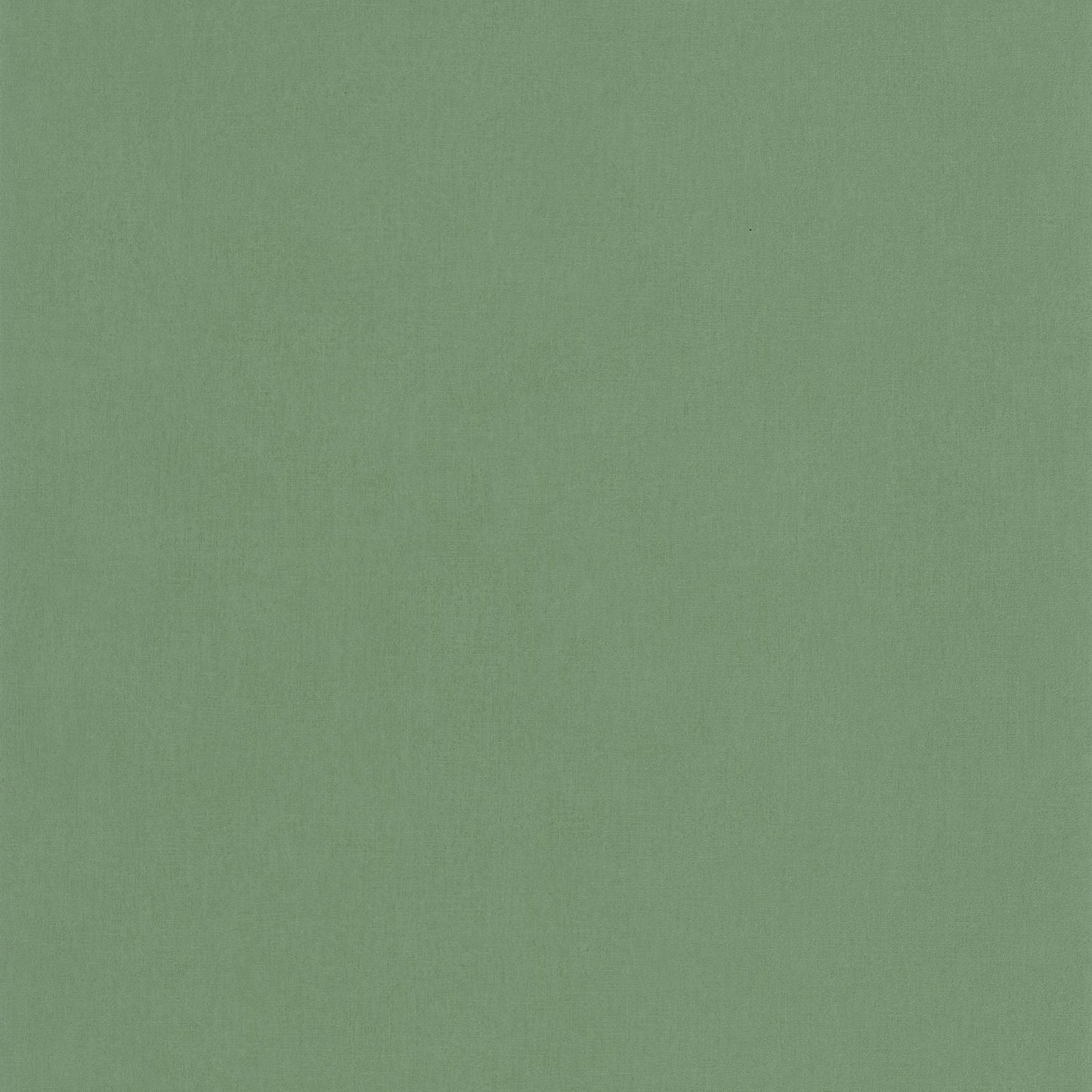 Life Wallpaper - Vert - Caselio - 64527170 - Premier Wallcovering