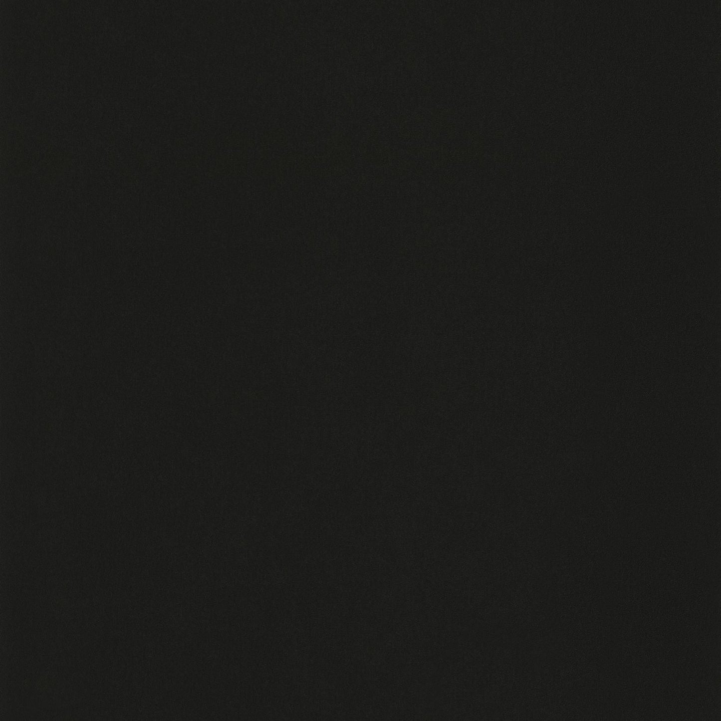 Life Wallpaper - Noir - Caselio - 64529800 - Premier Wallcovering