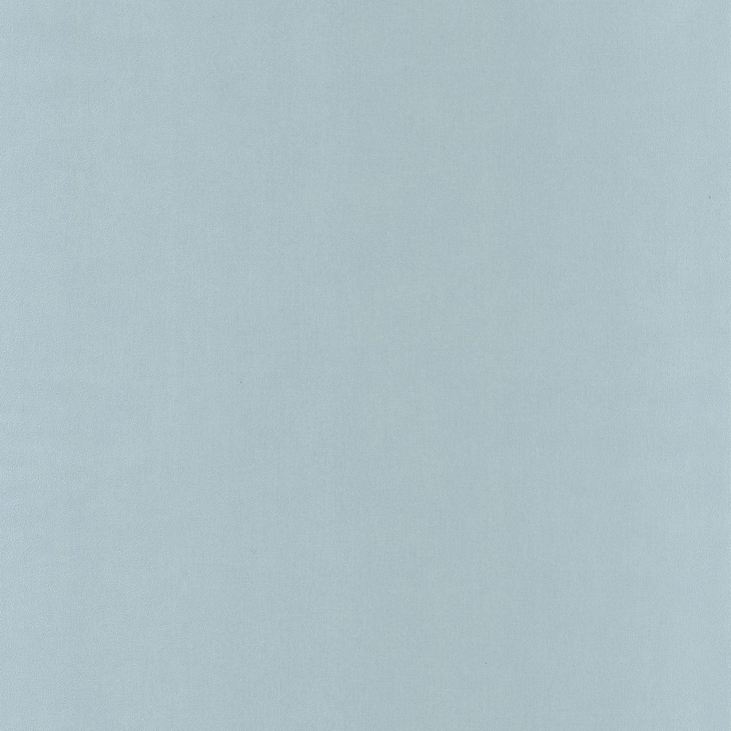 Life Wallpaper - Gris Bleu - Caselio - 64529200 - Premier Wallcovering