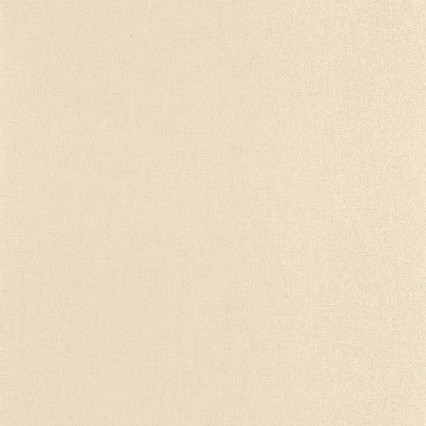 Life Wallpaper - Taupe Clair - Caselio - 64522220 - Premier Wallcovering