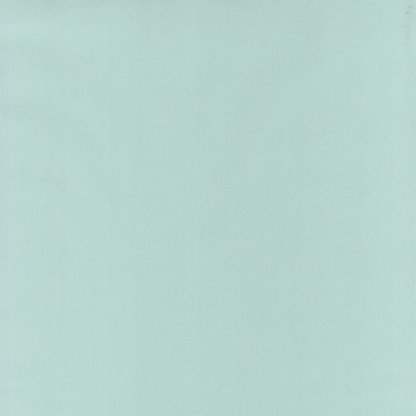 Life Wallpaper - Mint - Caselio - 64527007 - Premier Wallcovering