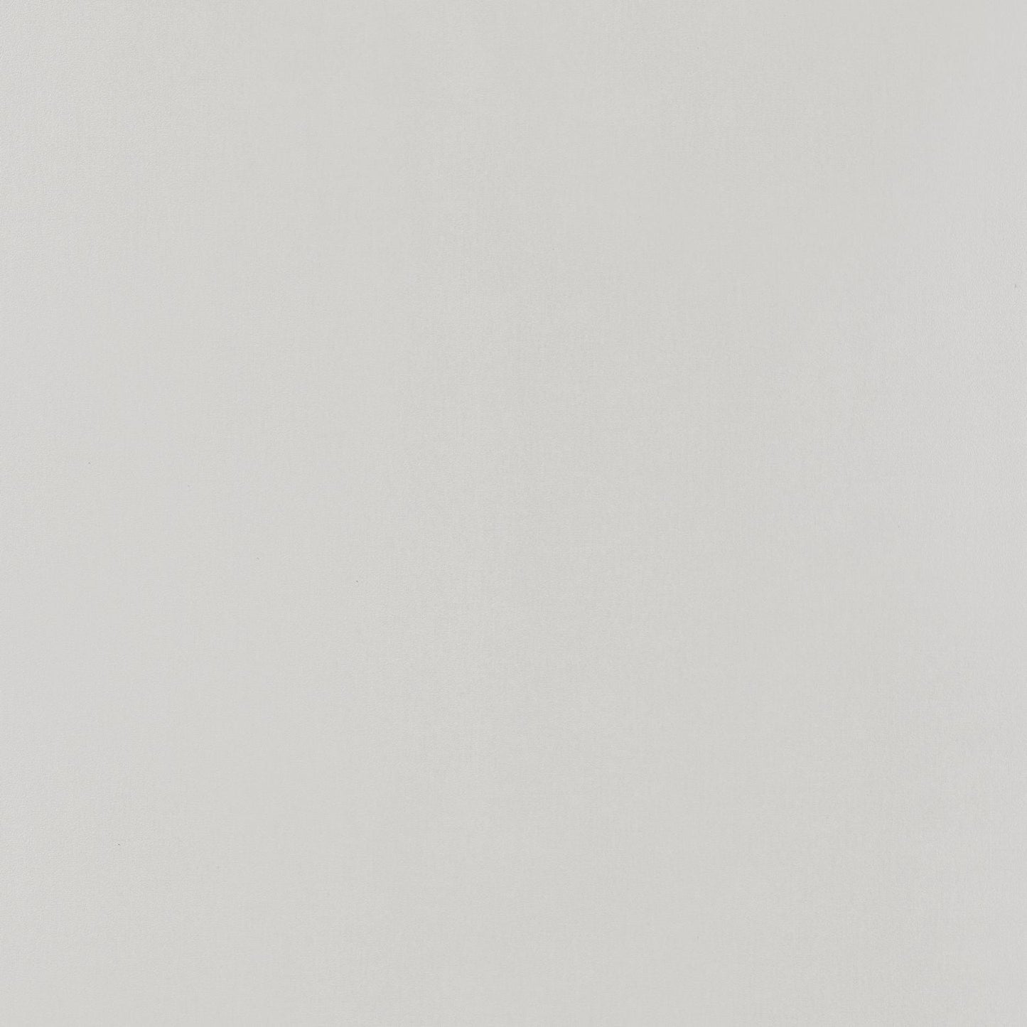 Life Wallpaper - Gris - Caselio - 64529162 - Premier Wallcovering