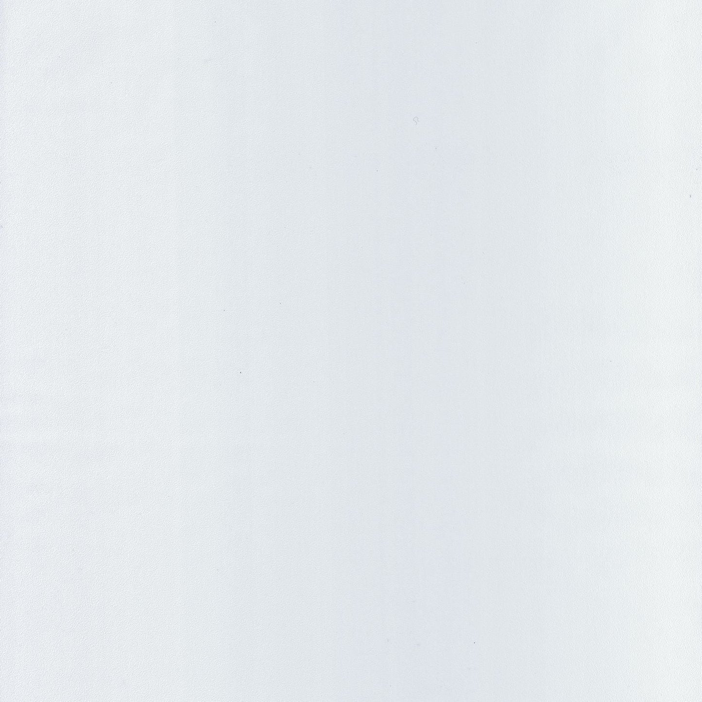 Life Wallpaper - Blanc - Caselio - 64520000 - Premier Wallcovering