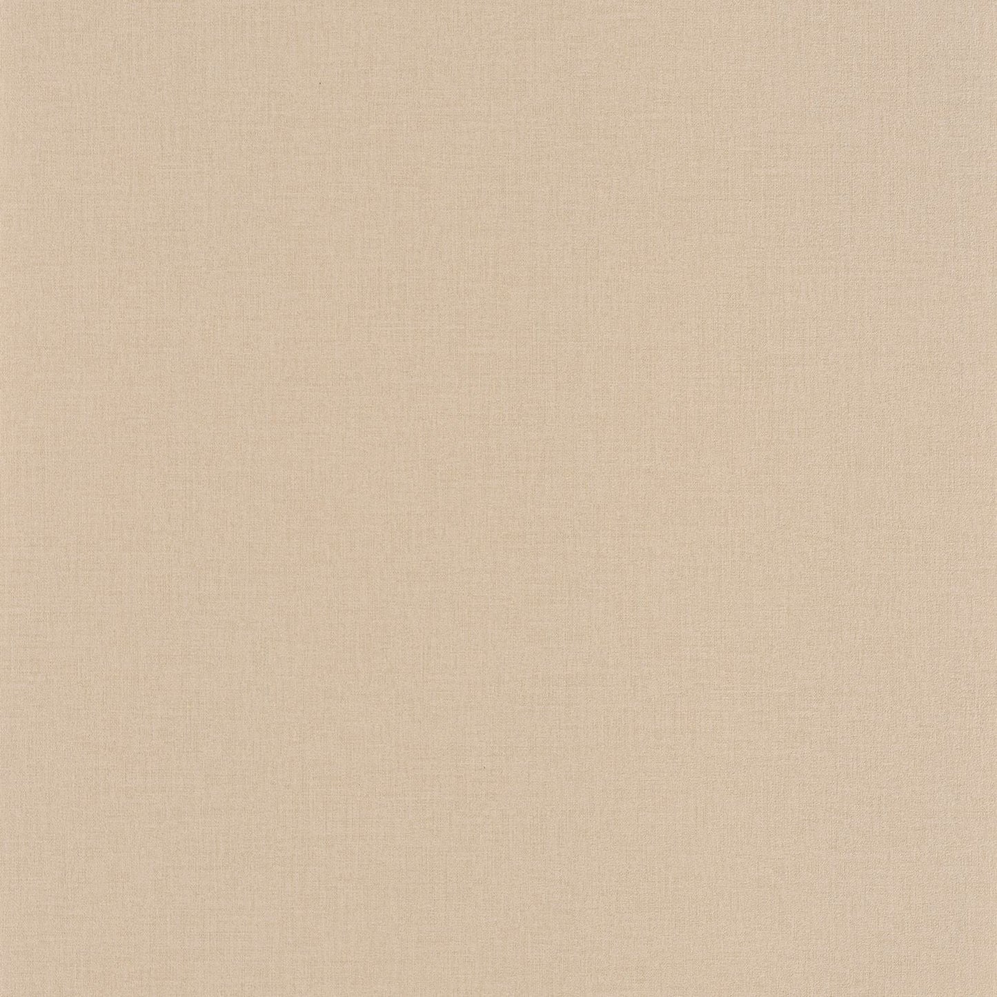 Life Wallpaper - Taupe - Caselio - 64522412 - Premier Wallcovering