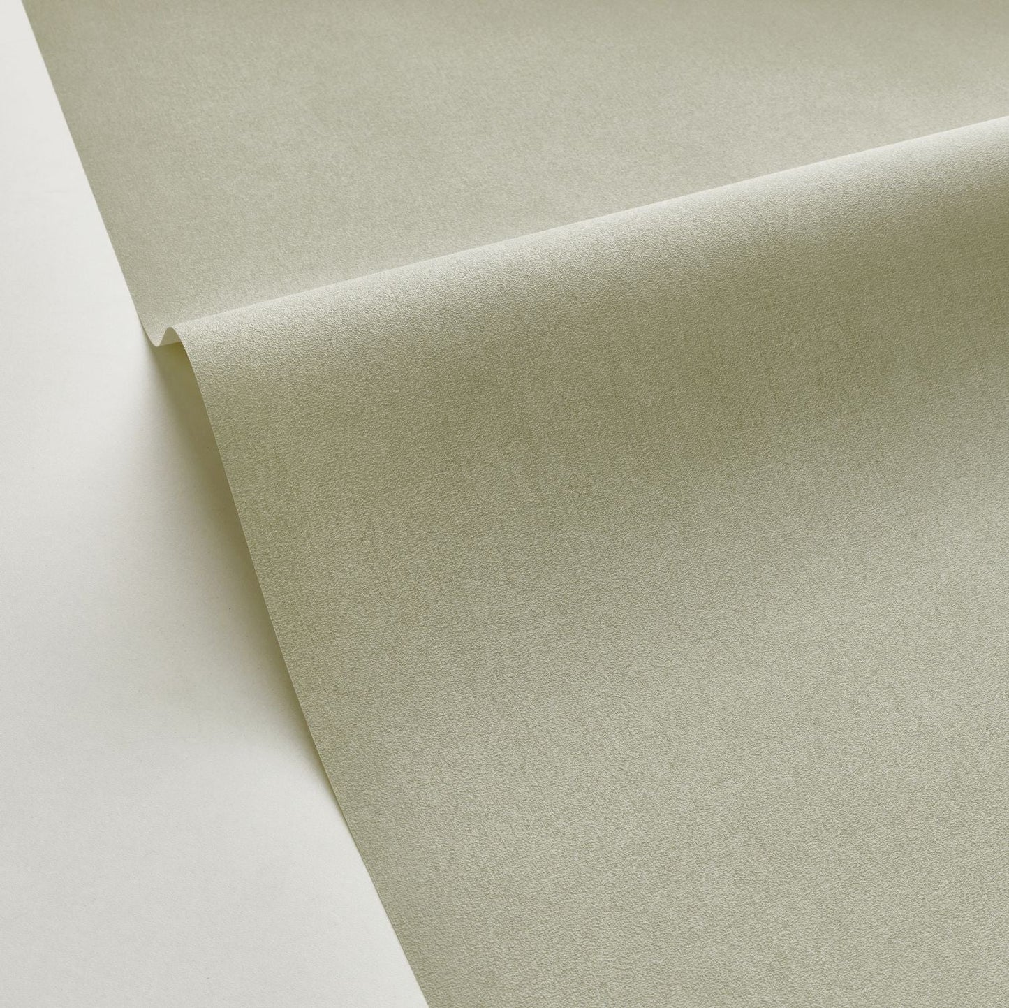 Life Wallpaper - Amande - Caselio - 64527210 - Premier Wallcovering