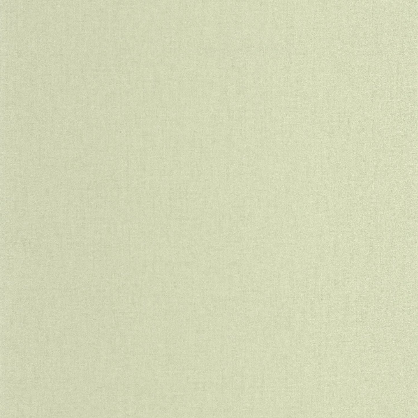 Life Wallpaper - Vert Amande - Caselio - 64527721 - Premier Wallcovering