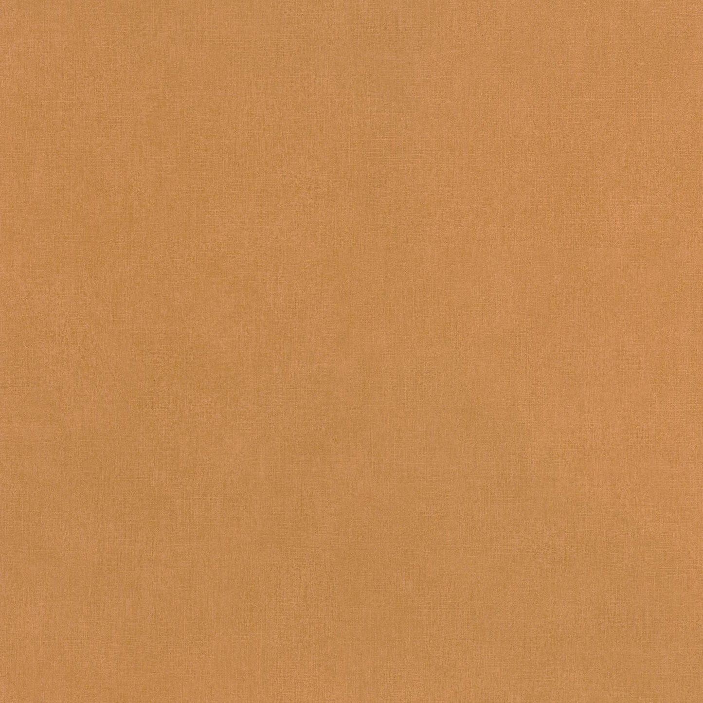 Life Wallpaper - Camel - Caselio - 64522100 - Premier Wallcovering
