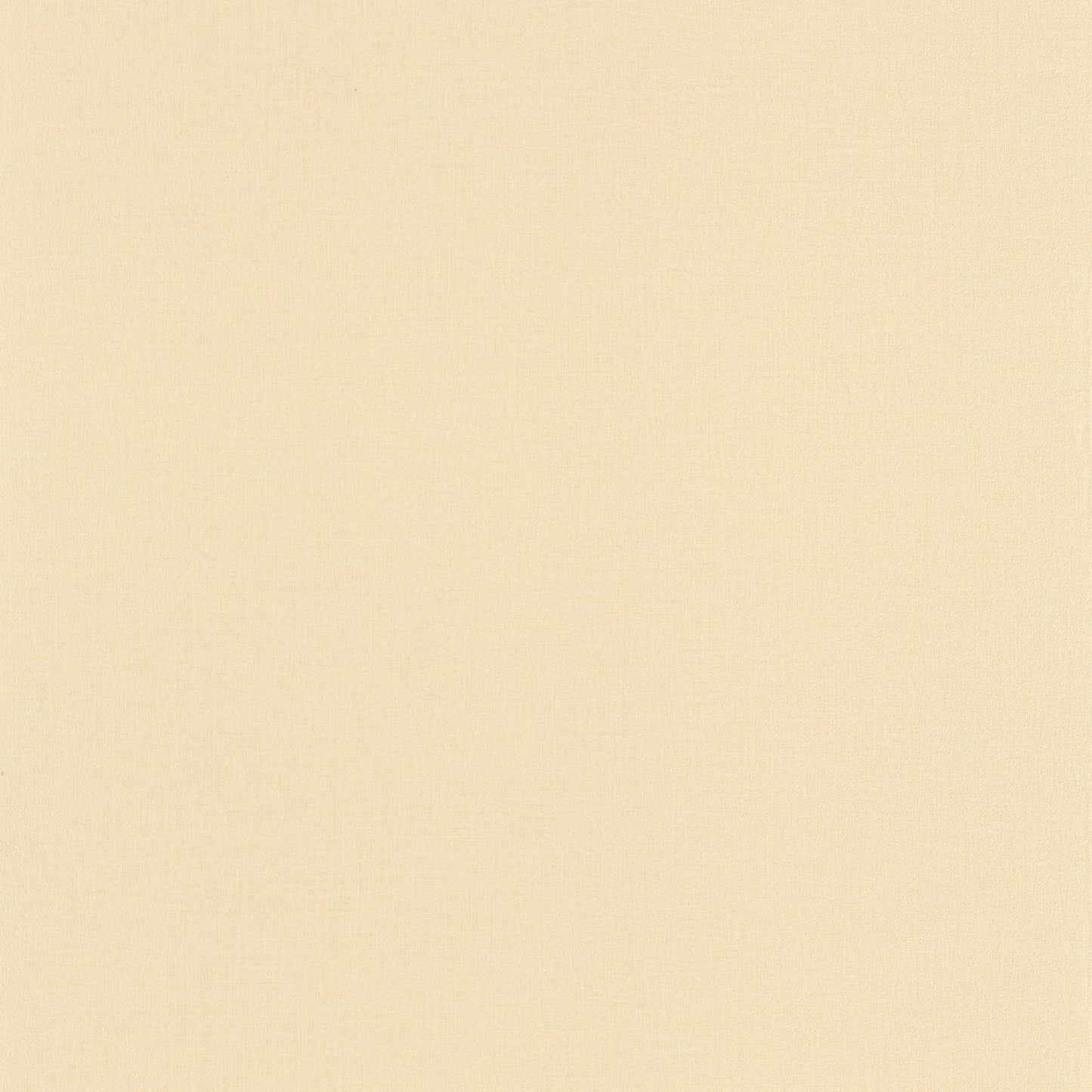 Life Wallpaper - Beige - Caselio - 64521270 - Premier Wallcovering