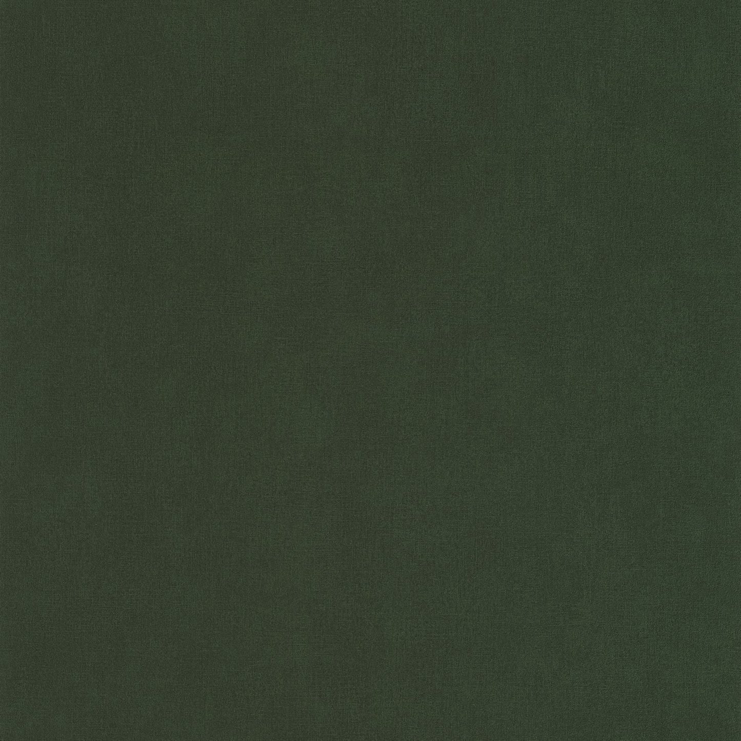 Life Wallpaper - Vert Kaki - Caselio - 64527370 - Premier Wallcovering