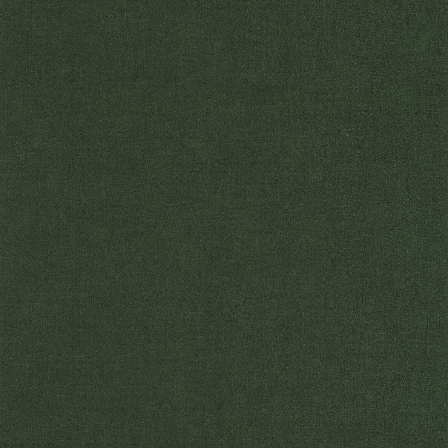 Life Wallpaper - Vert Kaki - Caselio - 64527370 - Premier Wallcovering