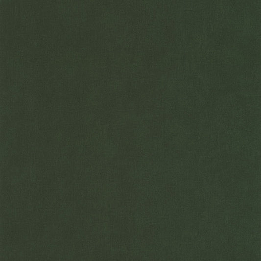 Life Wallpaper - Vert Kaki - Caselio - 64527370 - Premier Wallcovering