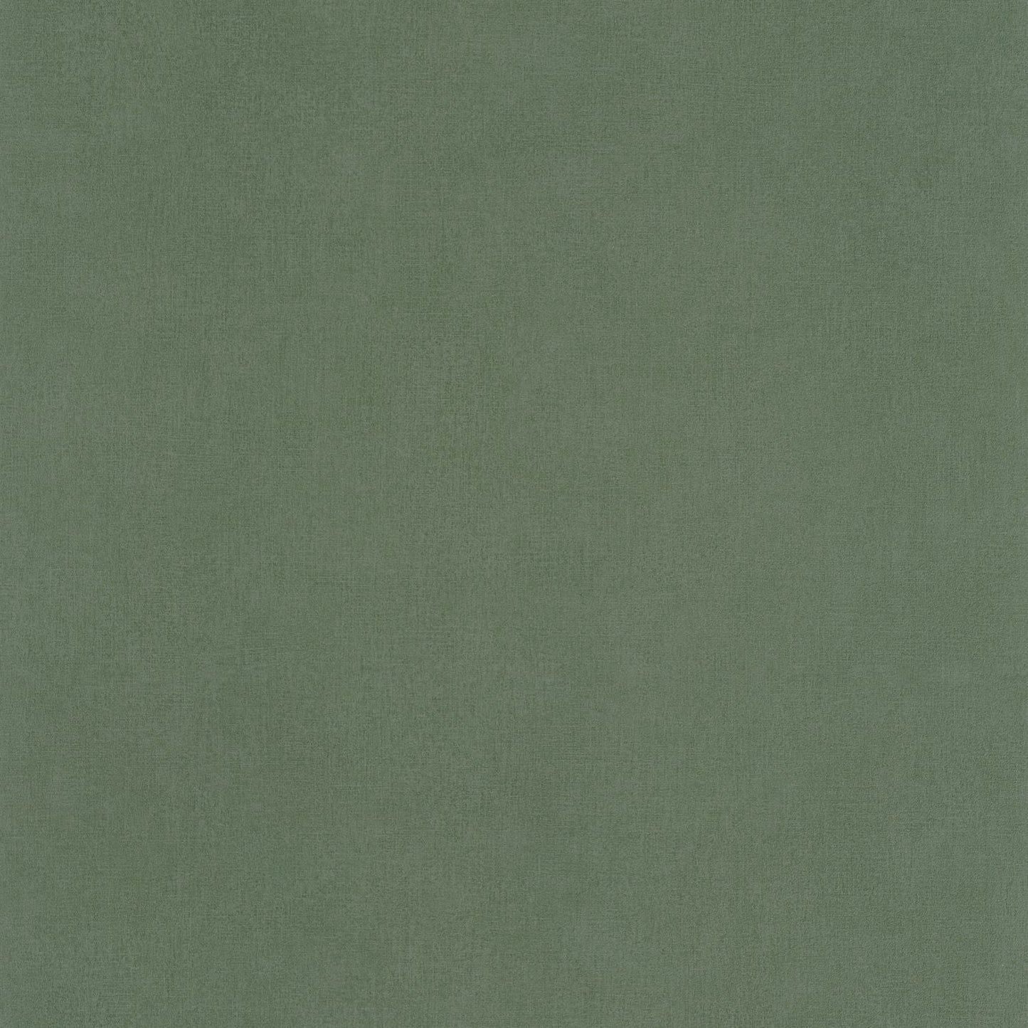 Life Wallpaper - Kaki - Caselio - 64524044 - Premier Wallcovering