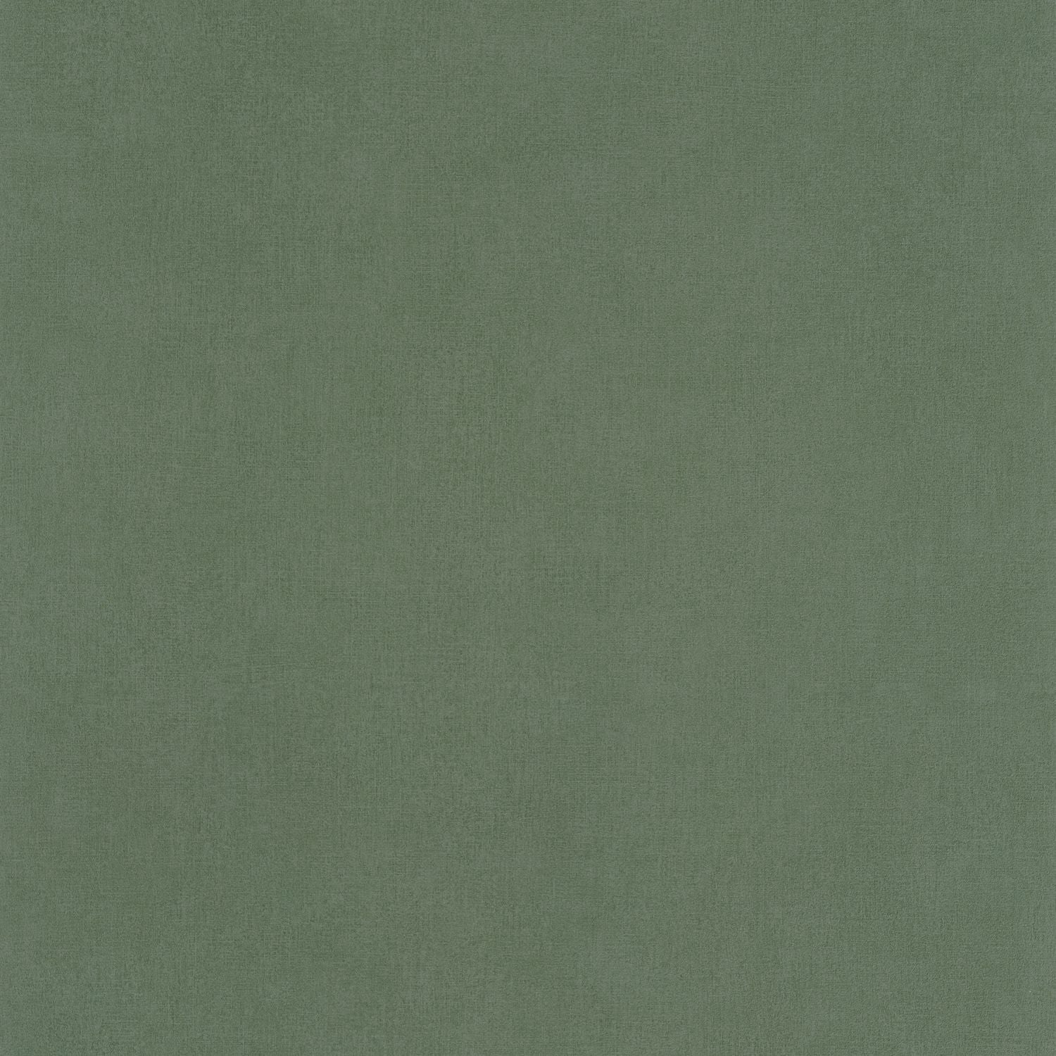 Life Wallpaper - Kaki - Caselio - 64524044 - Premier Wallcovering