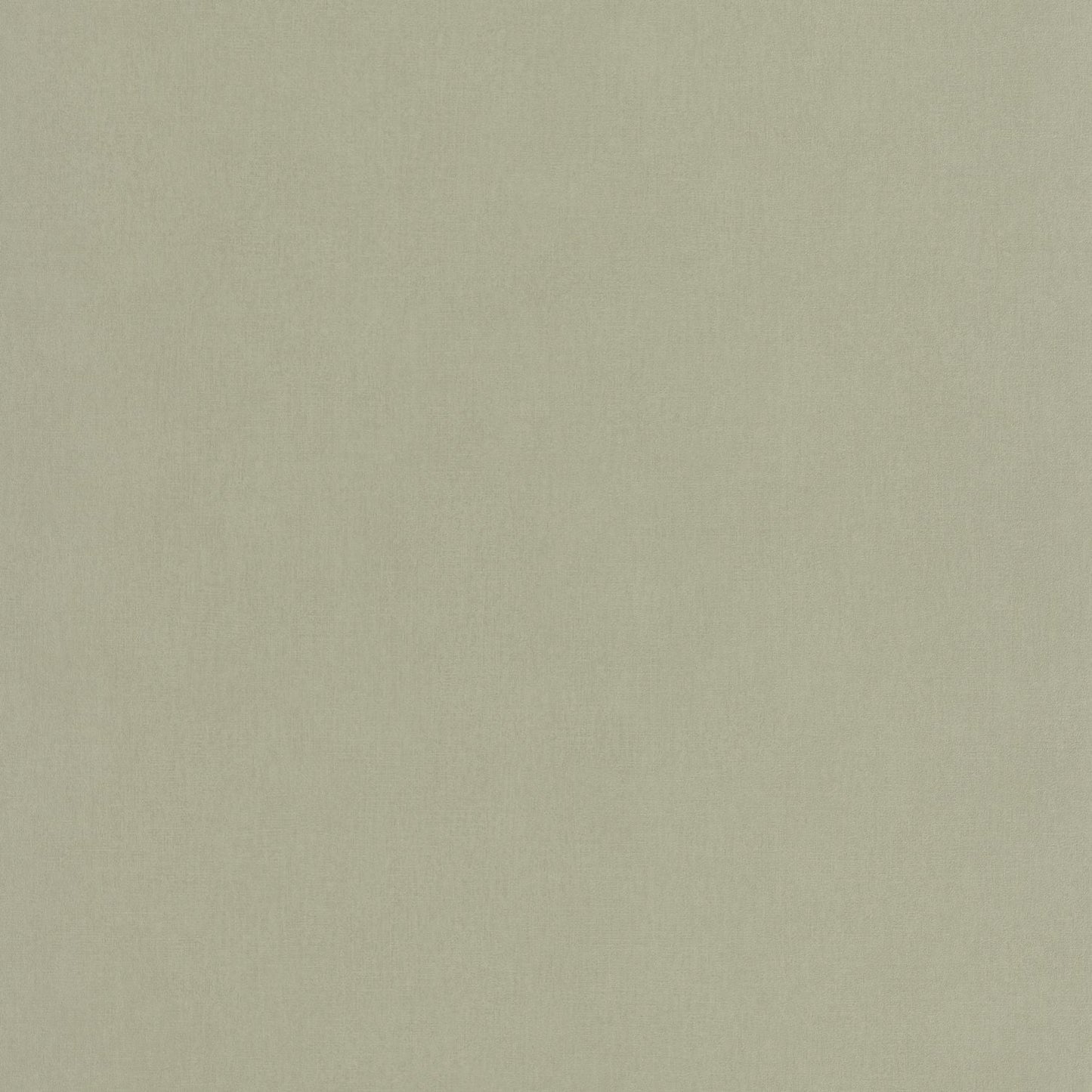 Life Wallpaper - Amande - Caselio - 64527210 - Premier Wallcovering