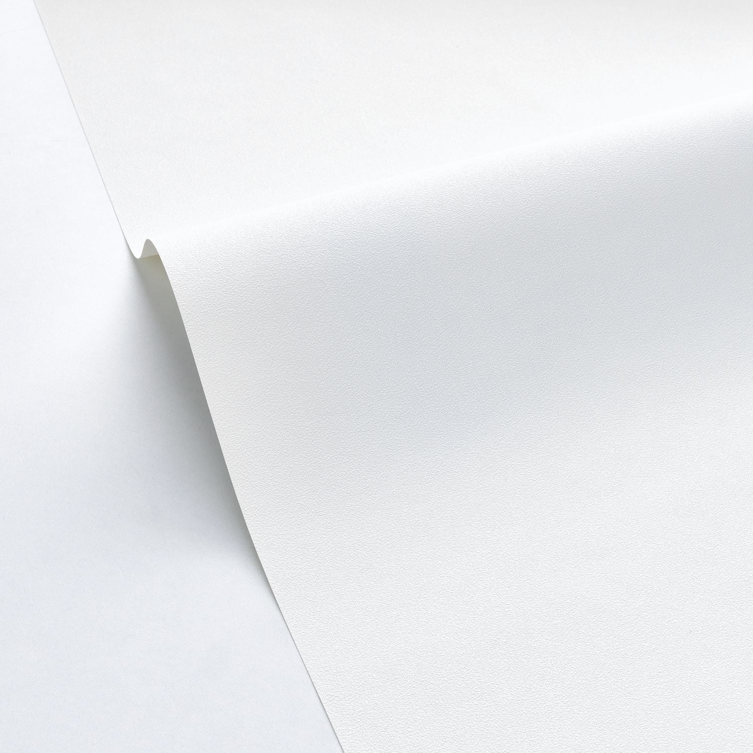 Life Wallpaper - Blanc - Caselio - 64520000 - Premier Wallcovering