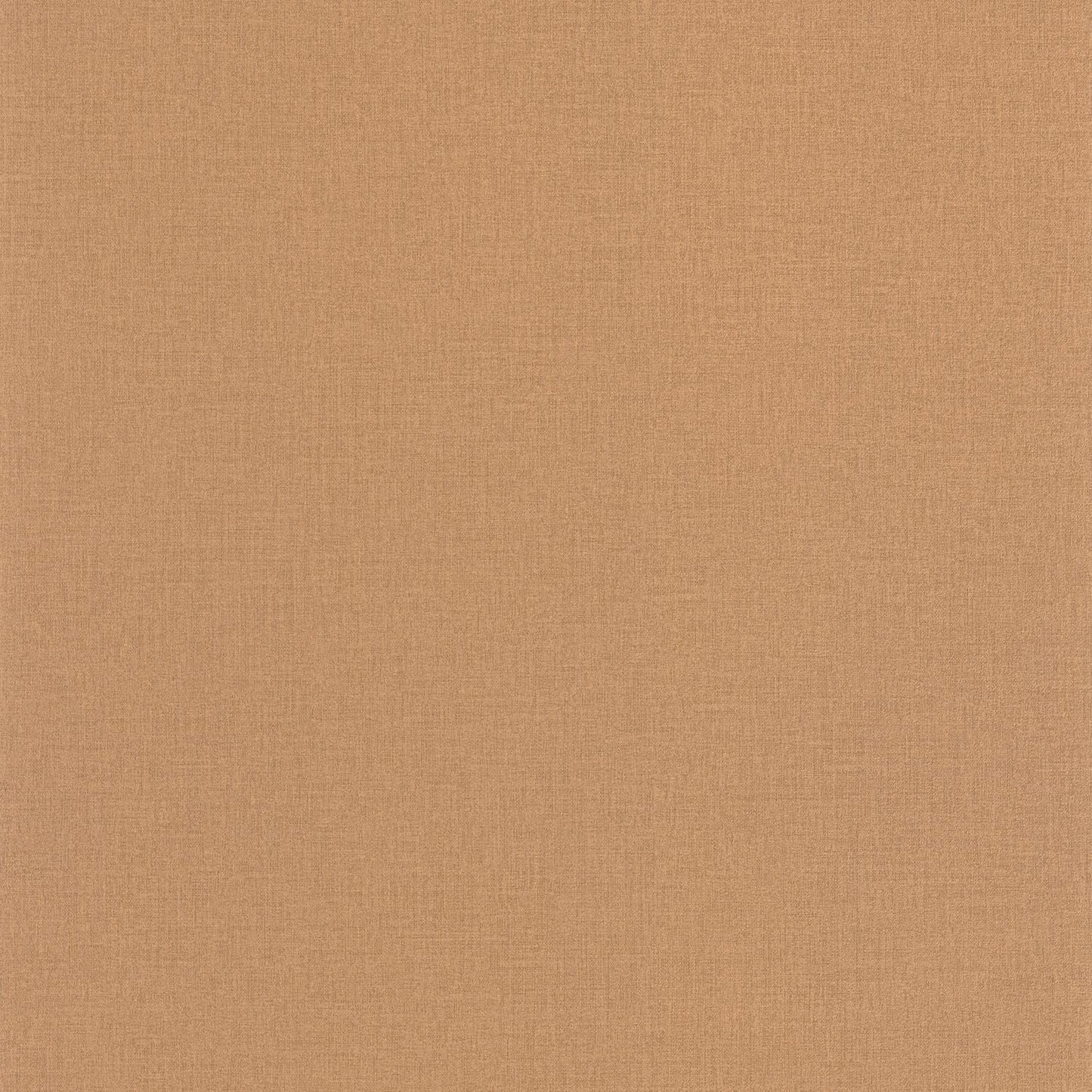 Life Wallpaper - Camel - Caselio - 64522578 - Premier Wallcovering