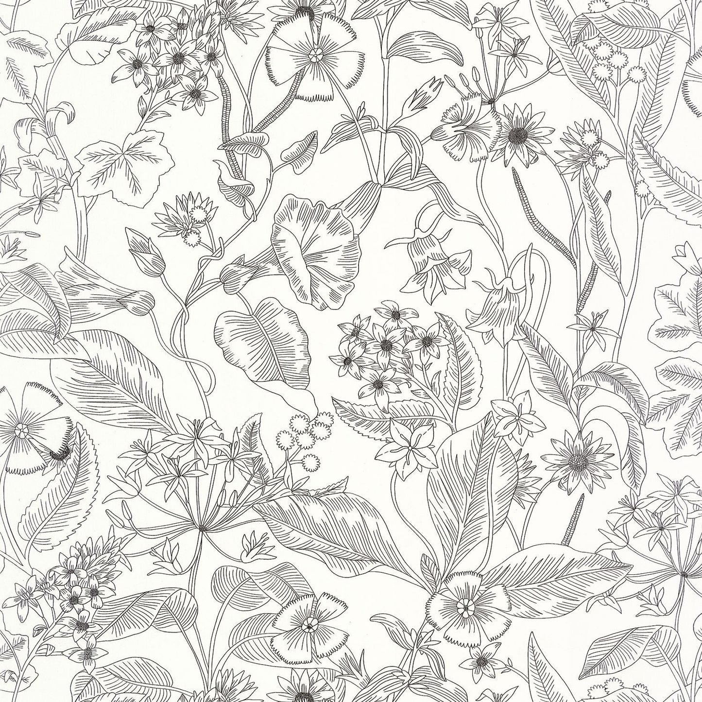 Lightness Wallpaper - Noir - Caselio - 106609090 - Premier Wallcovering