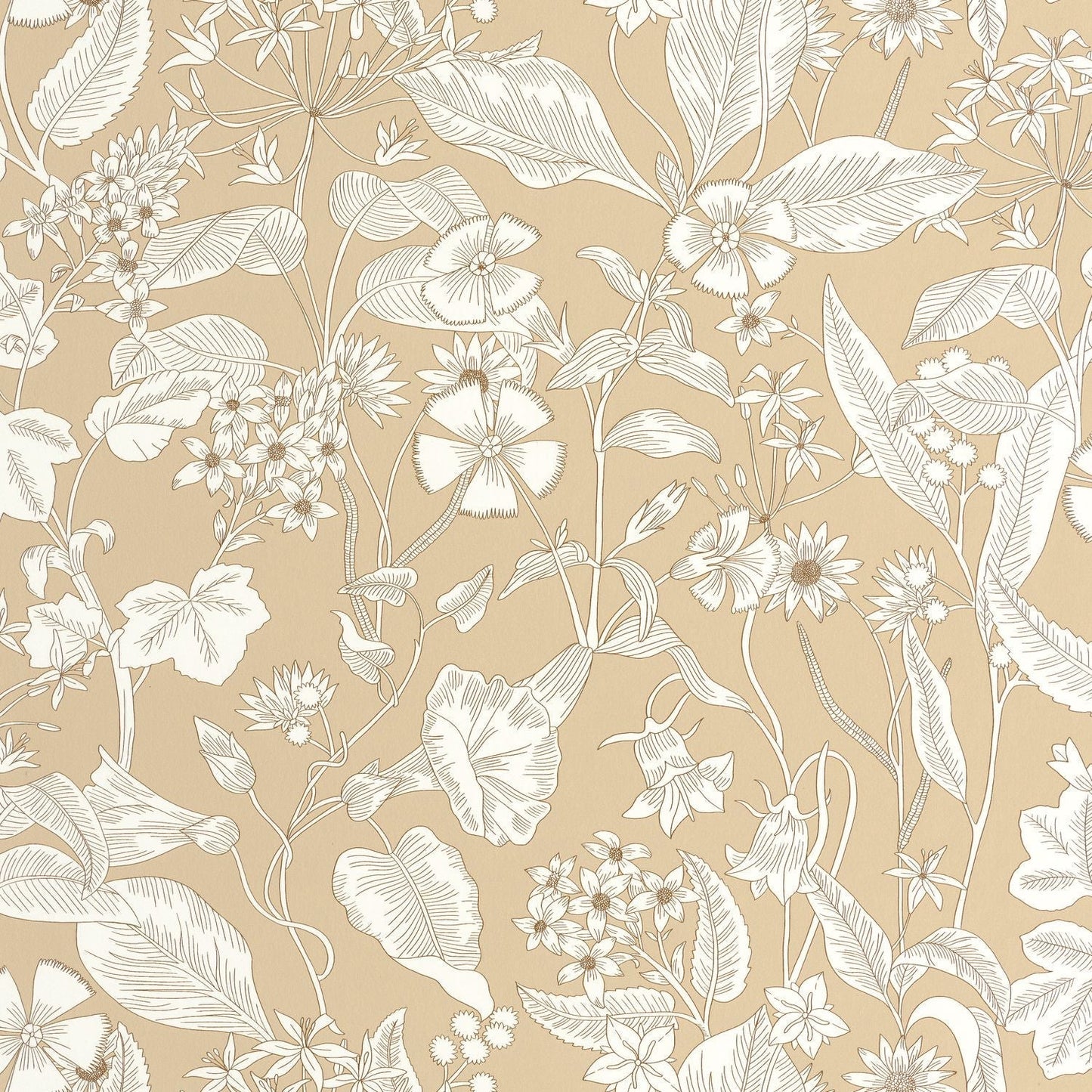 Lightness Wallpaper - Beige - Caselio - 106601010 - Premier Wallcovering