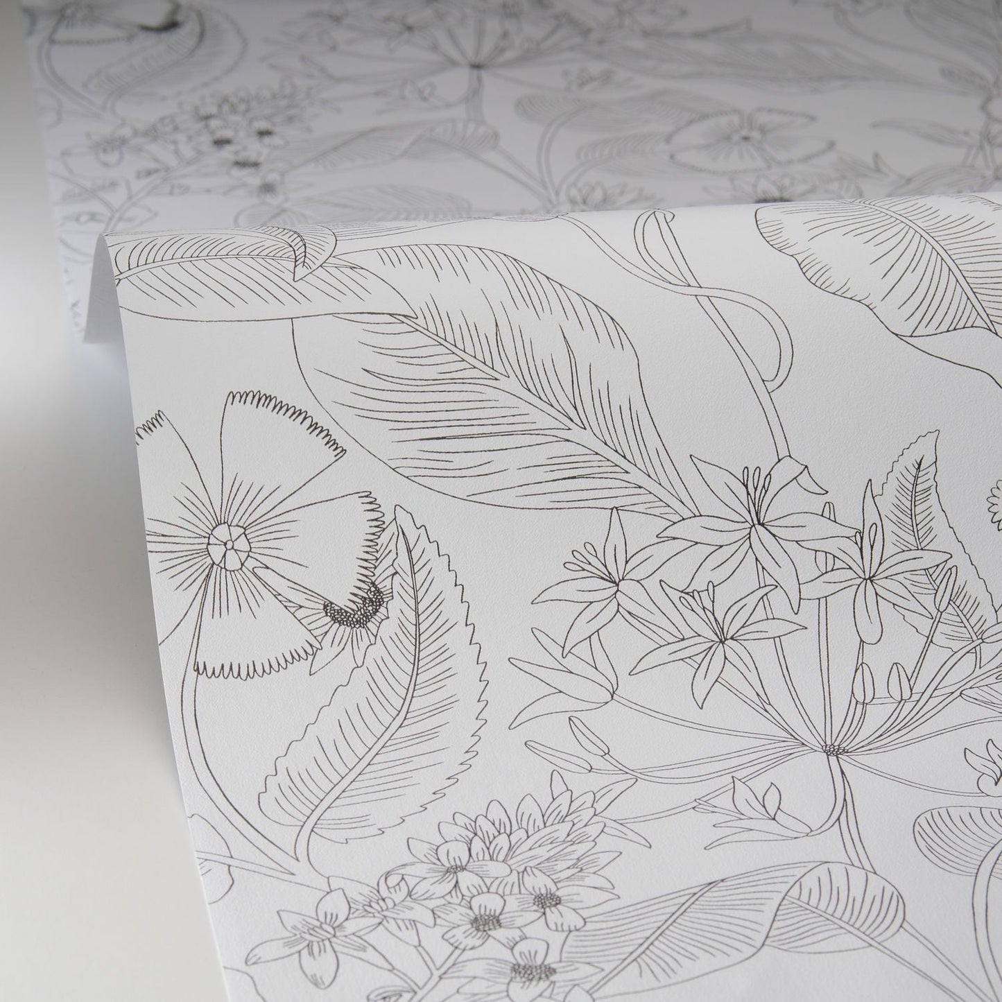 Lightness Wallpaper - Noir - Caselio - 106609090 - Premier Wallcovering