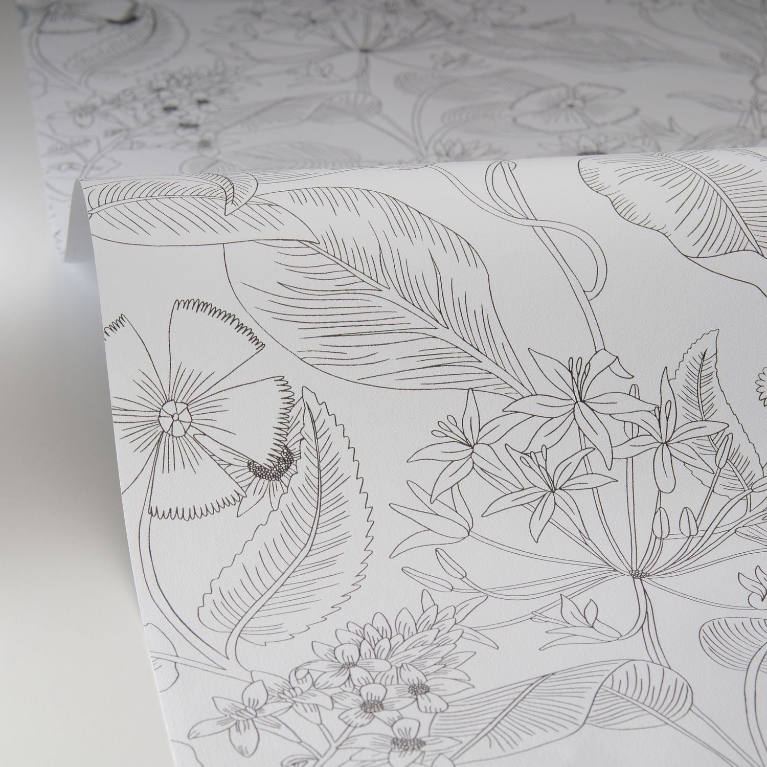 Lightness Wallpaper - Noir - Caselio - 106609090 - Premier Wallcovering