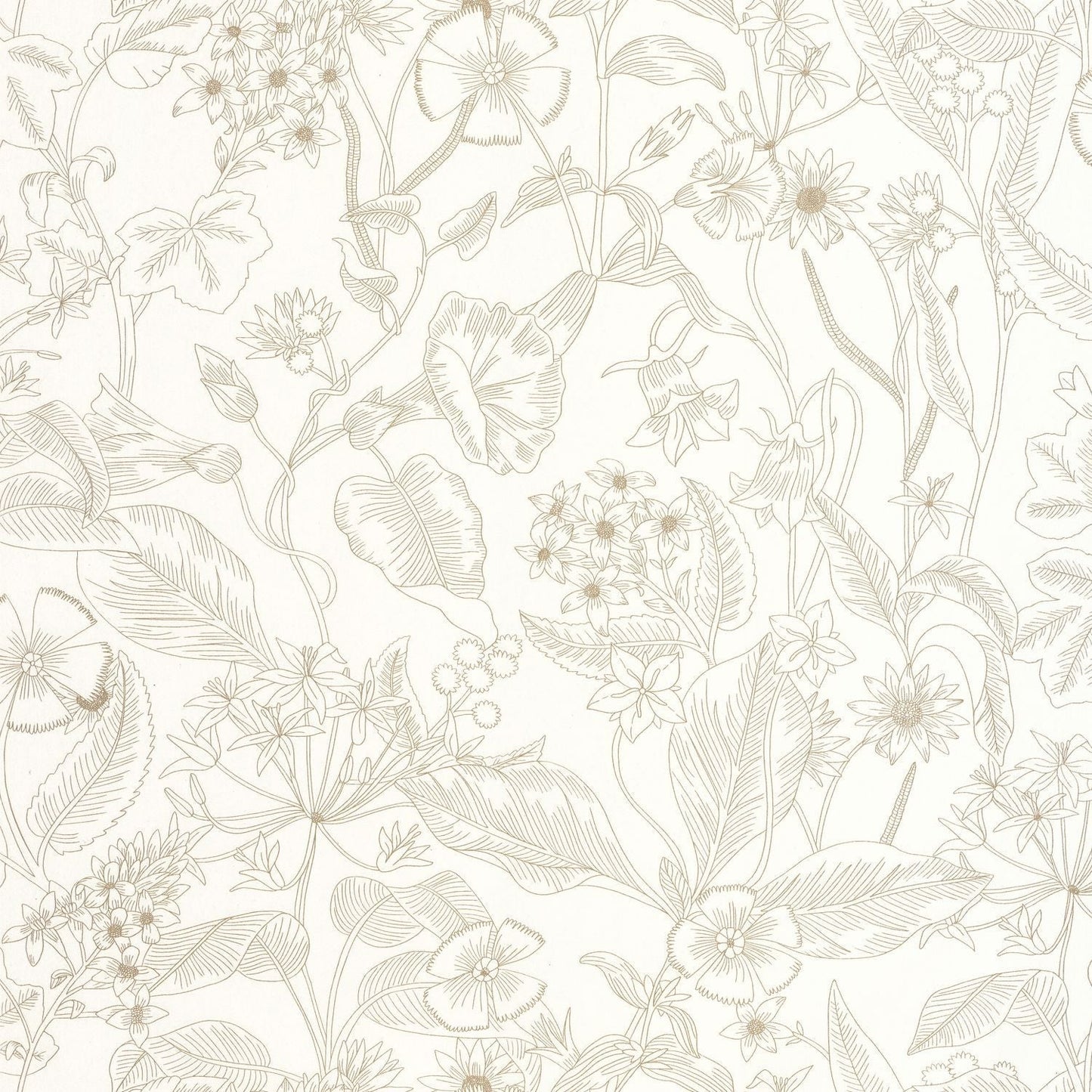 Lightness Wallpaper - Blanc - Caselio - 106600026 - Premier Wallcovering