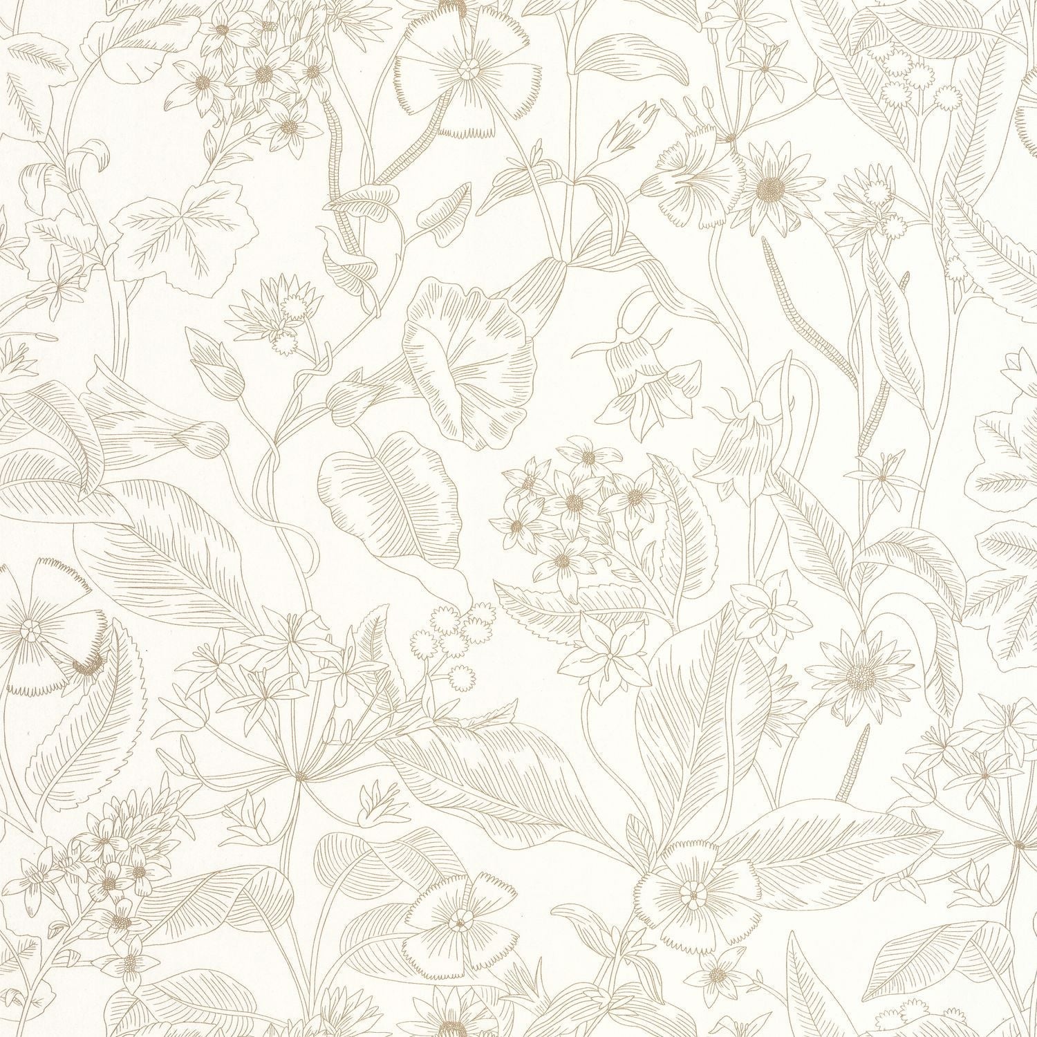 Lightness Wallpaper - Blanc - Caselio - 106600026 - Premier Wallcovering