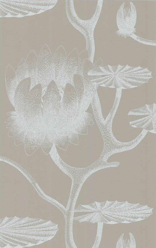 Lily Wallpaper - Chalk on Taupe - 69/3110 - Cole & Son - Premier Wallcovering